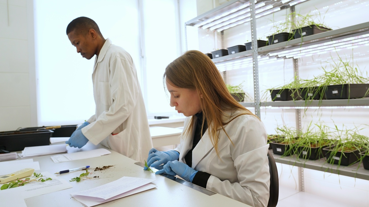 Ученые Державинского подтвердили эффективность разработанного прототипа «умного» нанопрепарата для защиты растений фото анонса